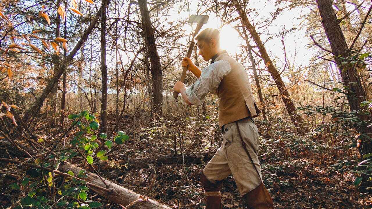 Best Dead Tree Removal  in USA